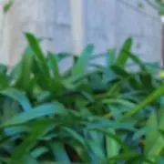 takeの画像