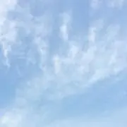 ぷゆ/必ずプロフ読んで下さい