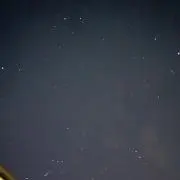 ともの画像
