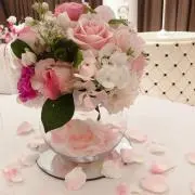 ねむの画像