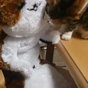 まみ