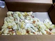 アニマルメイト　店主の画像