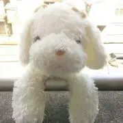 junjun