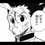 ゴン＝フリークスの画像