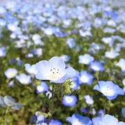 【大量値下げ中！！！超★断捨離中♥】の画像