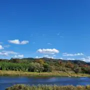 はやたすこう