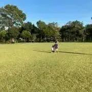 sakuの画像