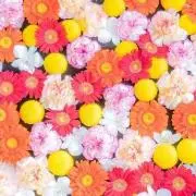 satomi2525の画像