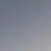 めいちごの画像