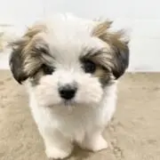 める プロフィール必読お願いしますの画像