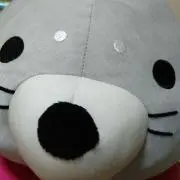 ひとなの画像
