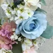 assaの画像