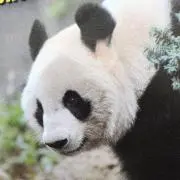 はるの画像
