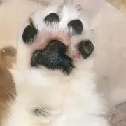 みぃ