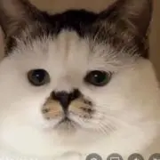 わなべの画像