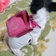 みーちやんの画像