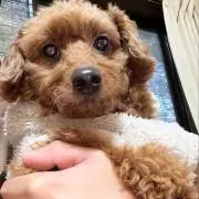 高ちゃん