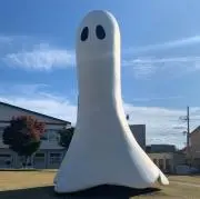 うさぎの画像