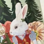 白いウサギの画像