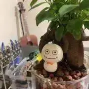 きんぴらの画像