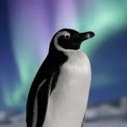 NORI