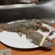 ゴルフニキ