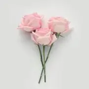 yuyu♡即購入大歓迎の画像