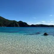 くーぼーの画像