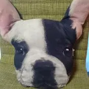 ニコニコ☆の画像