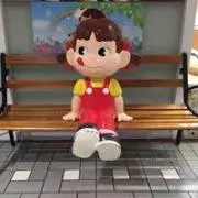 Pecoの画像