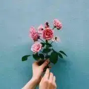 anの画像