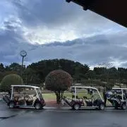 ell Aの画像