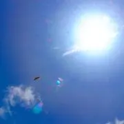 春
