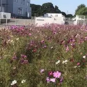 peopleの画像