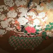 右近さくらの画像