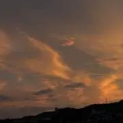 うたの画像