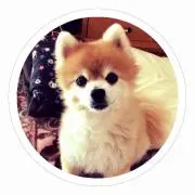 ティンクマ