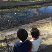 ＊ゆうちゃん＊の画像
