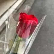 みにうさの画像