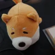 所以