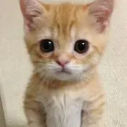そら