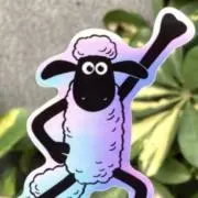 stsの画像
