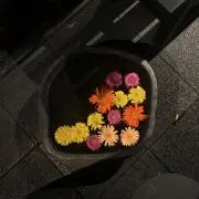 ︎:）の画像