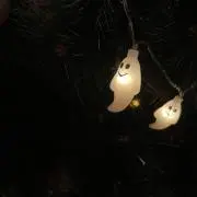きゅうたろー