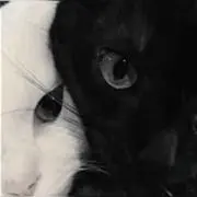 ㅠㅠの画像