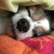 TAMA【プロフ要確認】
