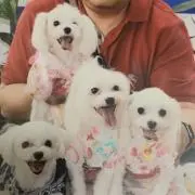 Reeパパの画像