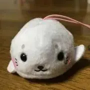 しゅんママの画像