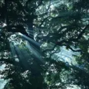 ⭐︎もも⭐︎