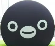 ぺんぎんの画像